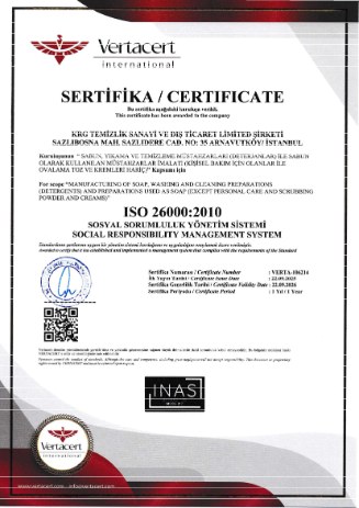 ISO 26000:2010 Social Responsibility Management System